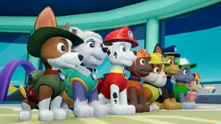 PAW Patrol: On A Roll! screenshot