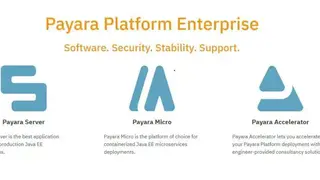 Payara Server screenshot