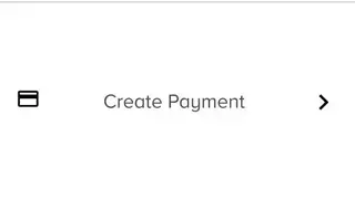 PaymentSpring screenshot