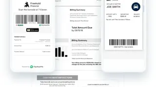 Paynearme screenshot