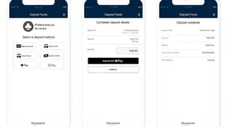 Paynearme screenshot