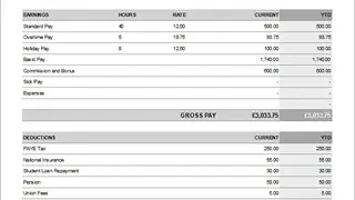 Payslip screenshot