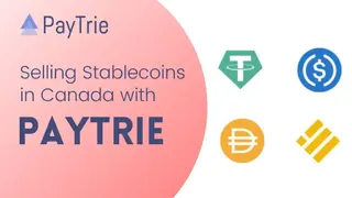 PayTrie screenshot