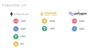 PayTrie screenshot