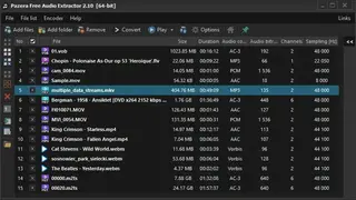 Pazera Free Audio Extractor screenshot
