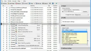Pazera Free Audio Extractor screenshot