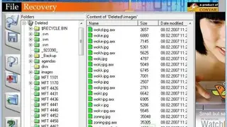 PC INSPECTOR File Recovery screenshot