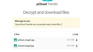 pCloud Transfer screenshot