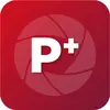 PDF+