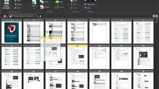 Pdf ShapingUp screenshot