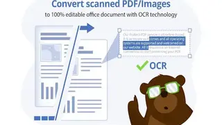 PDFBEAR screenshot