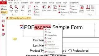 PDFescape screenshot