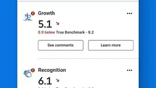 Peakon, from Workday screenshot