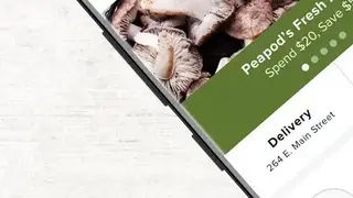 Peapod screenshot
