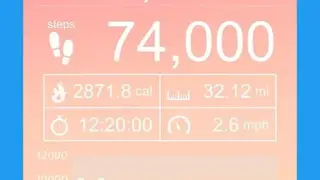 Pedometer screenshot