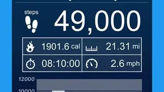 Pedometer screenshot