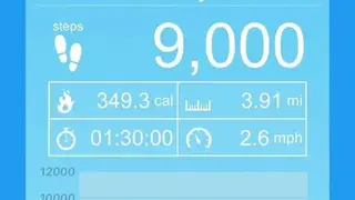 Pedometer screenshot