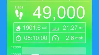 Pedometer screenshot