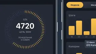 Pedometer Pacer screenshot
