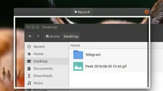 Peek GIF Screen Recorder for Linux screenshot