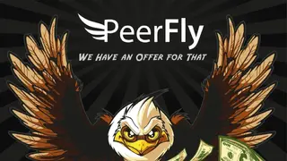 PeerFly screenshot