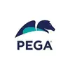 Pega BPM