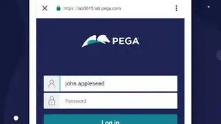 Pega Customer Service screenshot