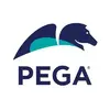 Pega Marketing