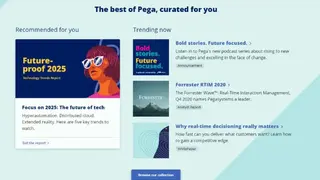 Pega Platform screenshot