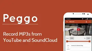 Peggo screenshot