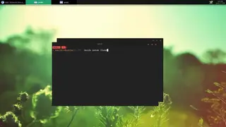 PekWM screenshot