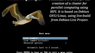 PelicanHPC screenshot