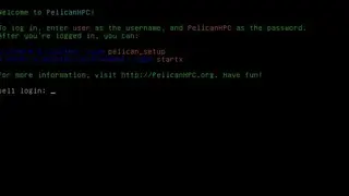 PelicanHPC screenshot