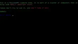PelicanHPC screenshot
