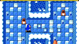 Pengo screenshot