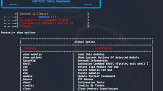 Pentest-Tools screenshot