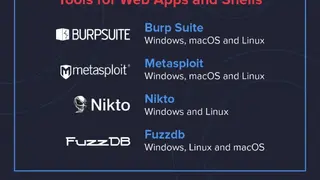 Pentest-Tools screenshot