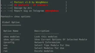 Pentest-Tools screenshot