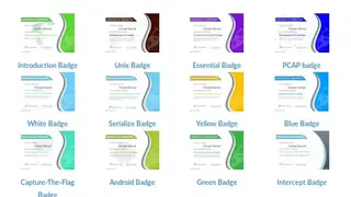 PentesterLab screenshot