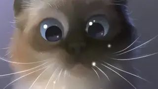 Peper Kitten Live Wallpaper screenshot