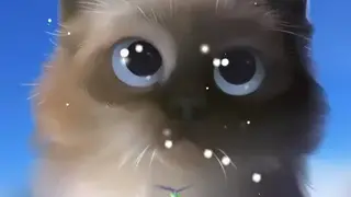 Peper Kitten Live Wallpaper screenshot