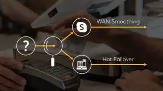 Peplink SpeedFusion screenshot