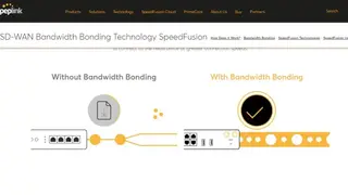 Peplink SpeedFusion screenshot