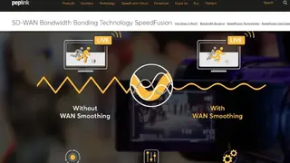 Peplink SpeedFusion screenshot