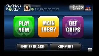 Perfect Poker screenshot