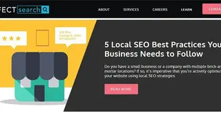 Perfect Search Media screenshot
