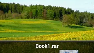Perfect Viewer screenshot