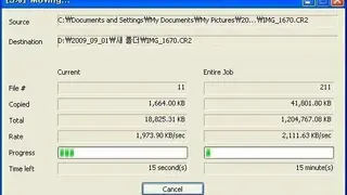 PerigeeCopy screenshot
