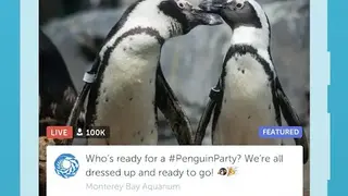 Periscope screenshot