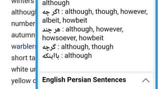 Persian Dictionary & Translator screenshot